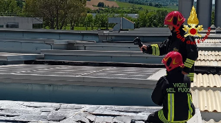 A fuoco tetto fotovoltaico di una ditta, pompieri in azione a Castelfidardo